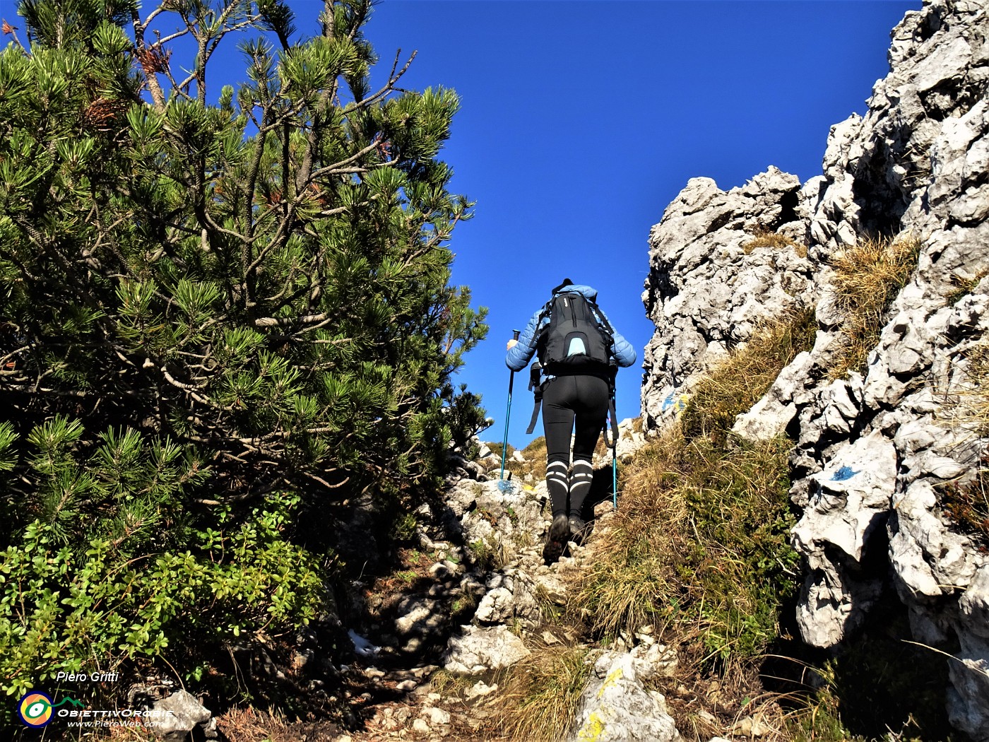 45 Passaggio tra pini mughi e rocce.JPG